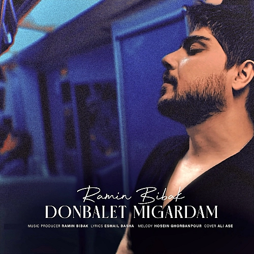 Cover artwork for Donbalet Migardam by Ramin Bibak